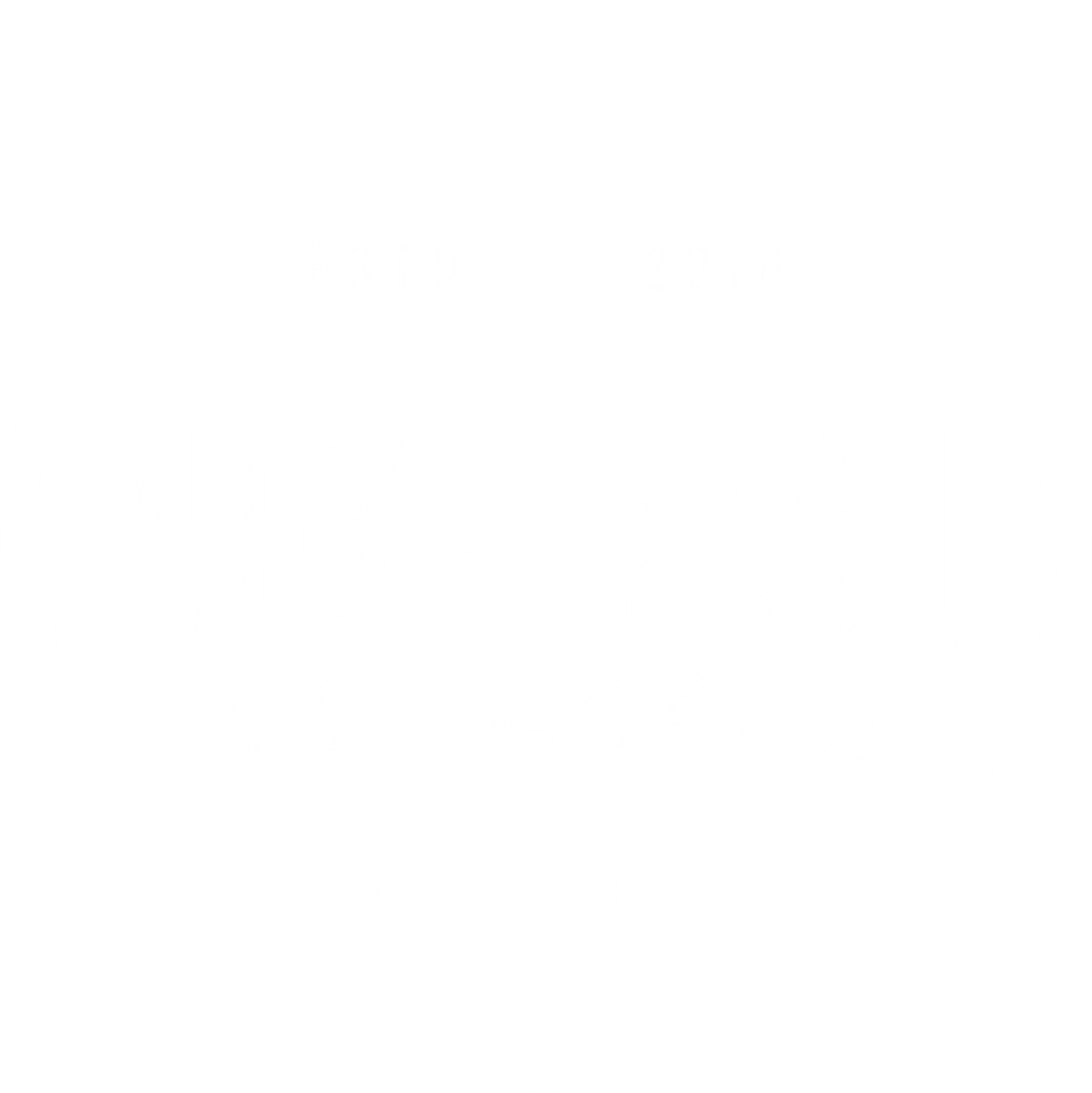 Next Level Telecom logo